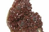Thunder Bay Amethyst Cluster with Hematite - Canada #283434-1